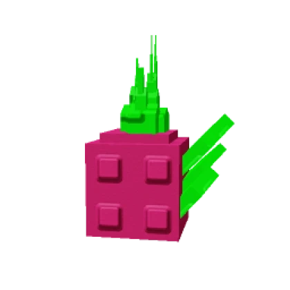 Dragon Fruit